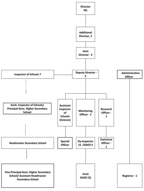 Organogram