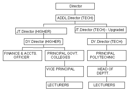 organogram